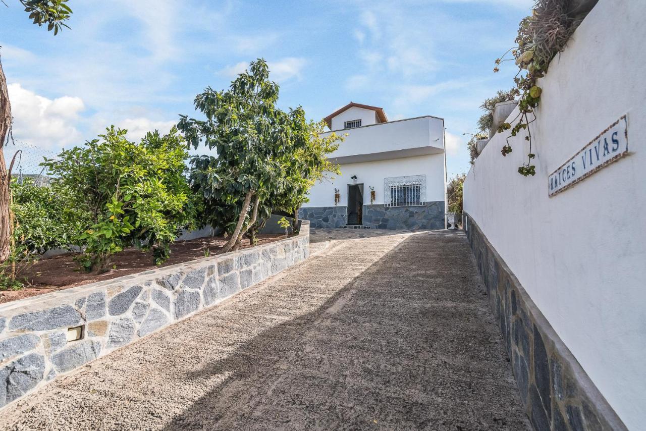 Raices Vivas Vivienda Vacacional Vega de San Mateo Exteriör bild